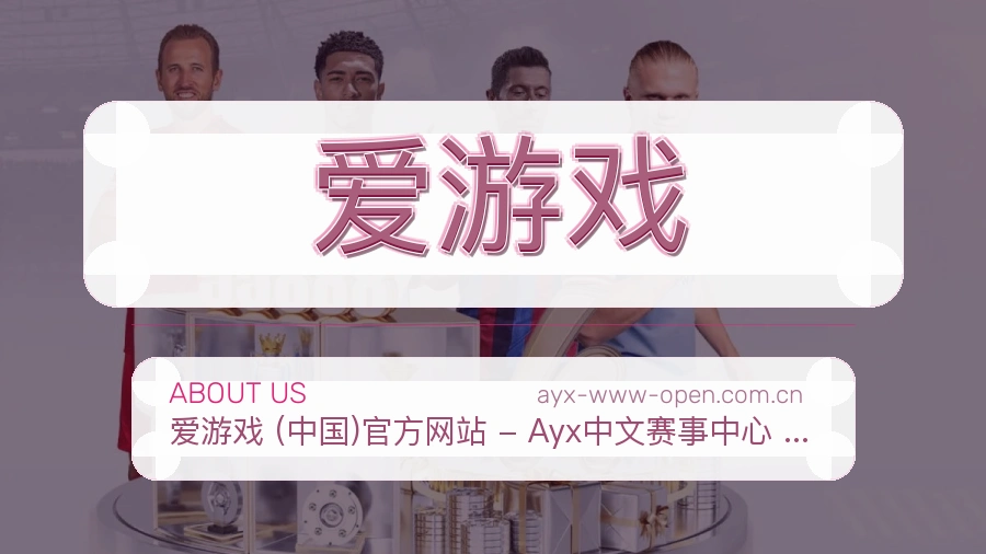 爱游戏平台简介展示